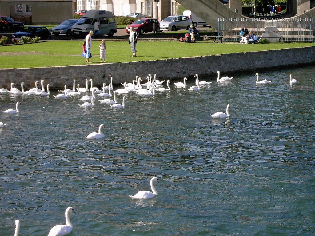 Berwick Upon Tweed The Cobbled Yard Hotel المظهر الخارجي الصورة